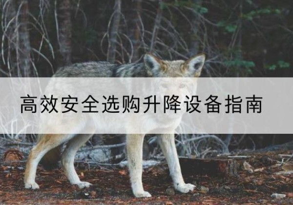 永城升降货梯厂家推荐-*安全选购升降设备指南