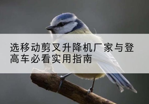 永城电动升降机厂家-选移动剪叉升降机厂家与登高车必看实用指南