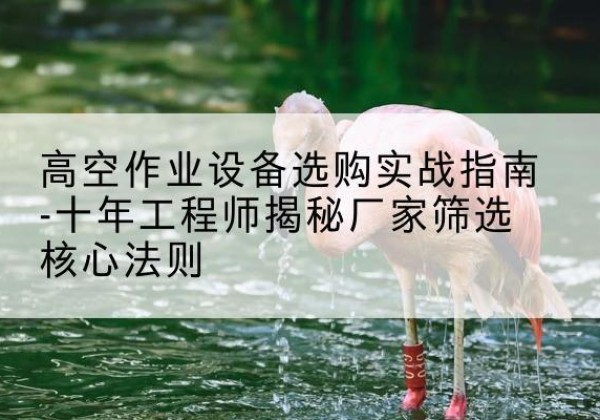 永城剪叉式升降机厂家-高空作业设备选购实战指南-十年工程师揭秘厂家筛选核心法则